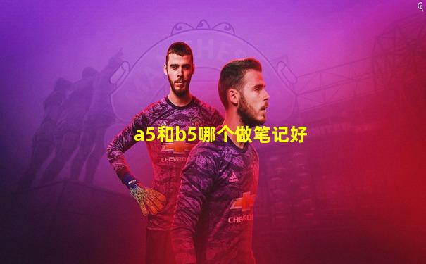 a5和b5哪个做笔记好