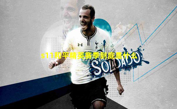 s11和平精英赛季到底是什么
