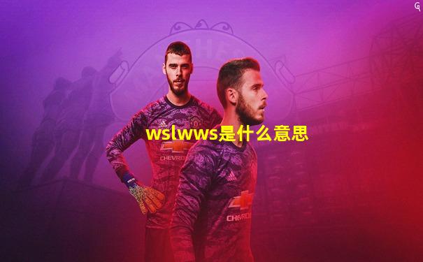 wslwws是什么意思
