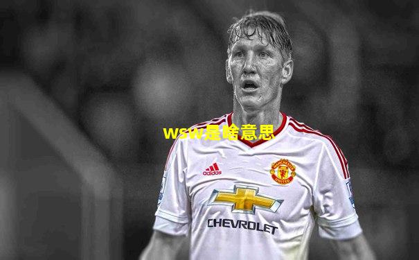 wsw是啥意思