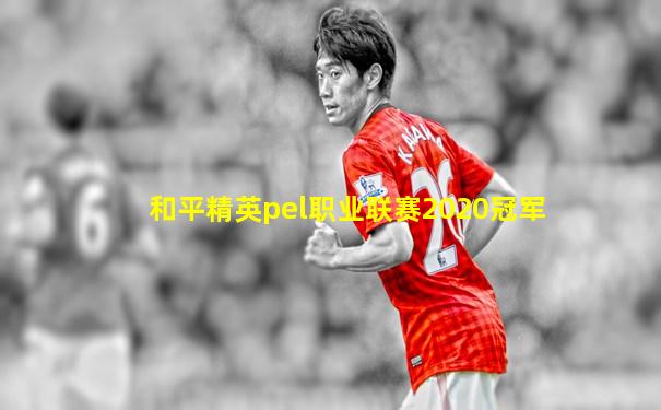 和平精英pel职业联赛2020冠军