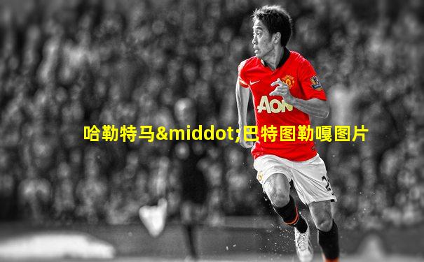 哈勒特马·巴特图勒嘎图片