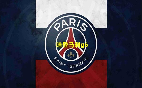 哈登马刺g6