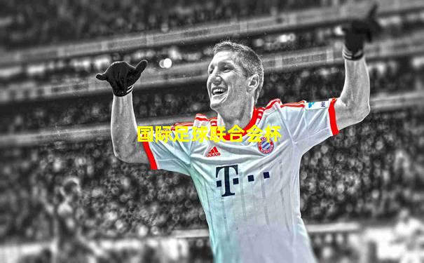 国际足球联合会杯