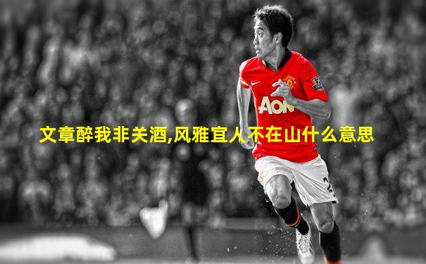 文章醉我非关酒,风雅宜人不在山什么意思
