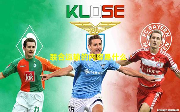 联合运输的内容是什么