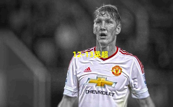 12-13英超