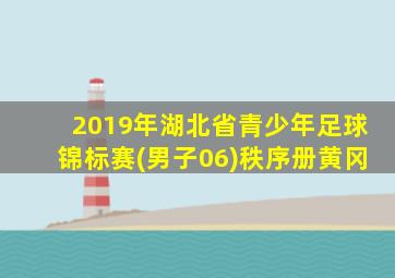 2019年湖北省青少年足球锦标赛(男子06)秩序册黄冈