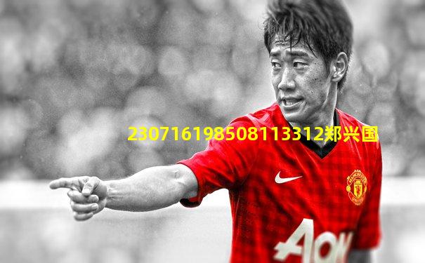 230716198508113312郑兴国