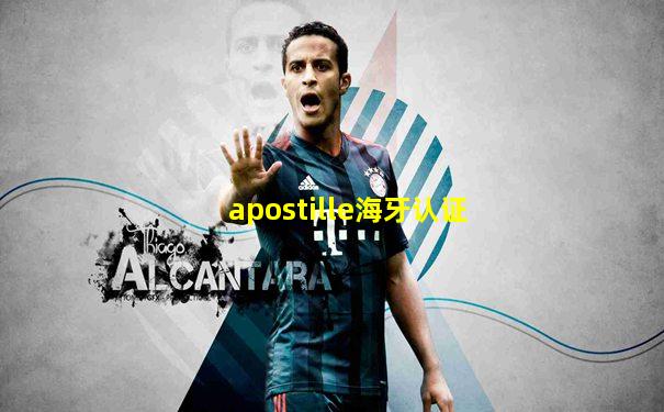 apostille海牙认证