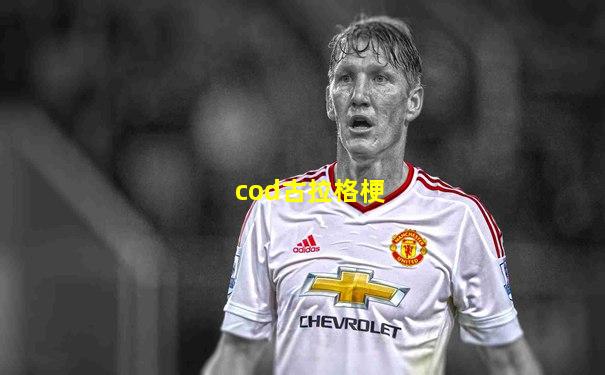 cod古拉格梗
