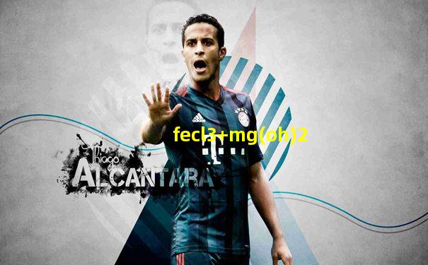 fecl3+mg(oh)2