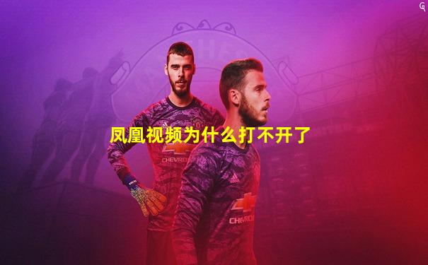 凤凰视频为什么打不开了