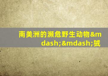 南美洲的濒危野生动物——狨
