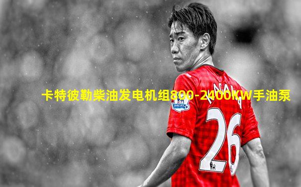 卡特彼勒柴油发电机组800-2400KW手油泵