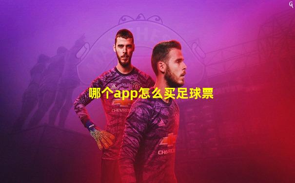 哪个app怎么买足球票