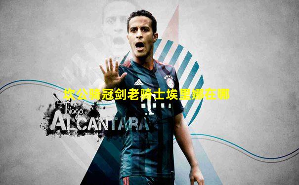 坎公骑冠剑老骑士埃里娜在哪