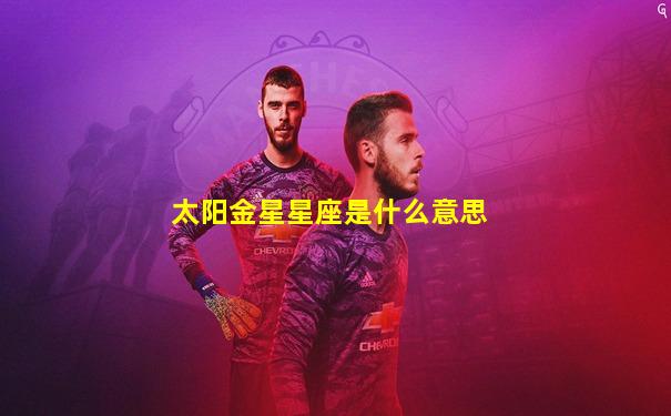 太阳金星星座是什么意思