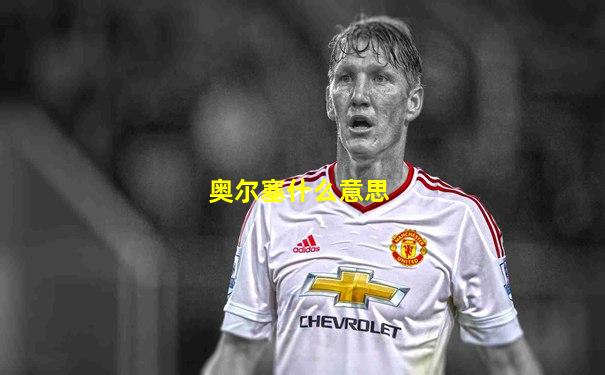奥尔塞什么意思