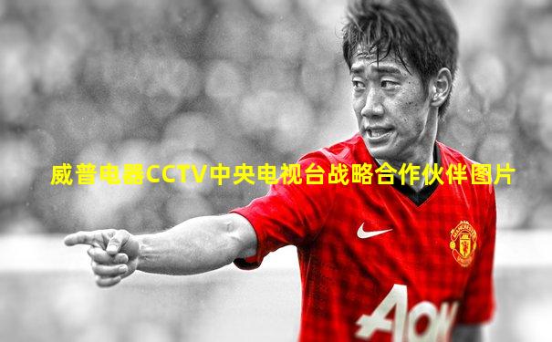 威普电器CCTV中央电视台战略合作伙伴图片