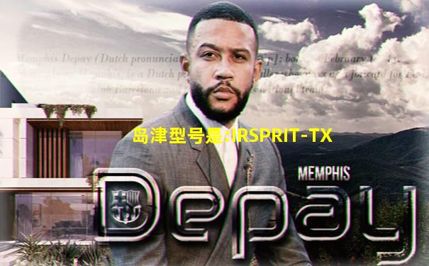 岛津型号是:IRSPRIT-TX