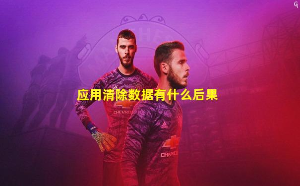 应用清除数据有什么后果