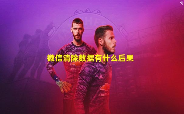 微信清除数据有什么后果