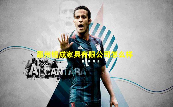 惠州铭成家具有限公司怎么样